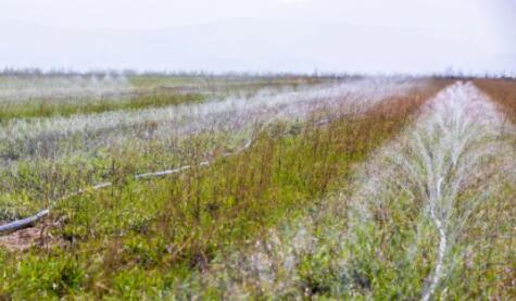 山西萬畝中藥材采用軟體集雨水窖+智能水肥一體化，增產顯著